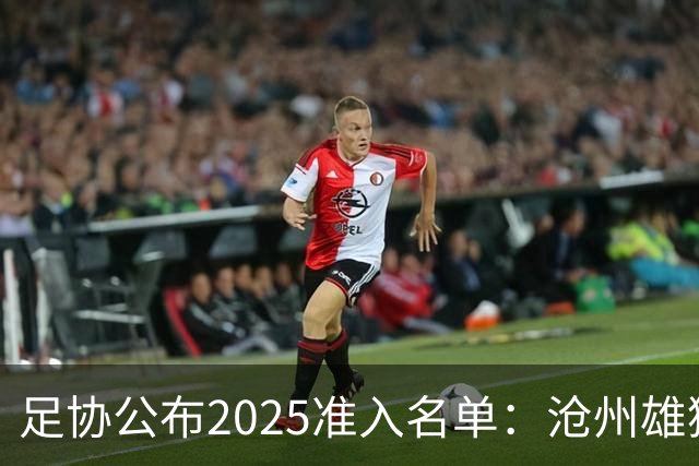 足协公布2025准入名单：沧州雄狮、广州队无缘